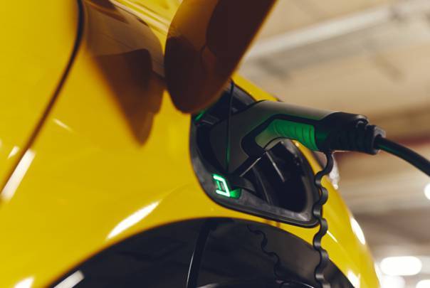 출처=엔바토엘리먼츠