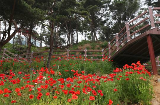 난지섬 등산로. 사진=당진시 제공