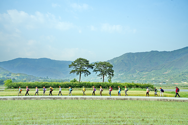 지리산둘레길을 걷고 있는 평화순례단의 모습.(사진=산림청)