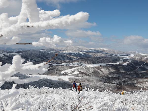 선자령의 겨울.(사진=산림청)