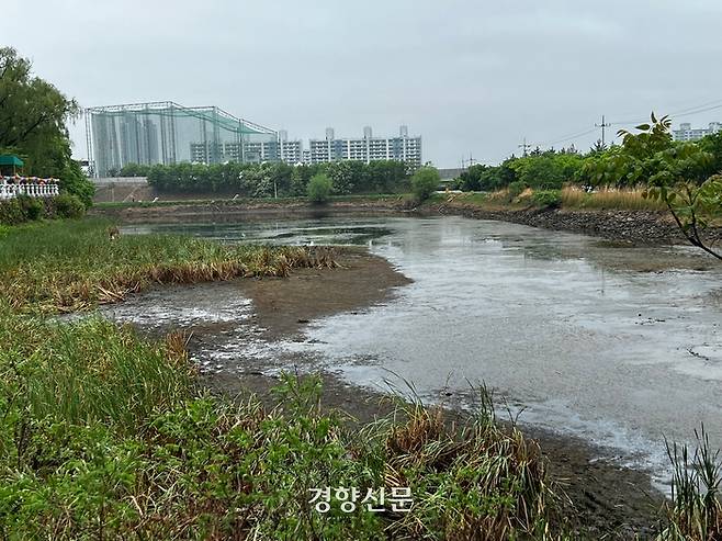 지난 4월26일 대구 수성구 망월지의 물이 말라 곳곳이 바닥을 보이고 있다. 백경열 기자