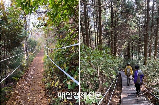 매트길과 계단이 반복되는 다랑쉬오름 탐방로 / 사진=홍지연 여행+ 기자