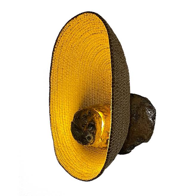 엄윤나 작가의 백미(白眉) 시리즈 조명. 엄윤나 제공