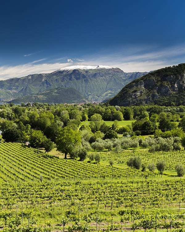 프란치아코르타 풍경. 출처 협회 홈페이지