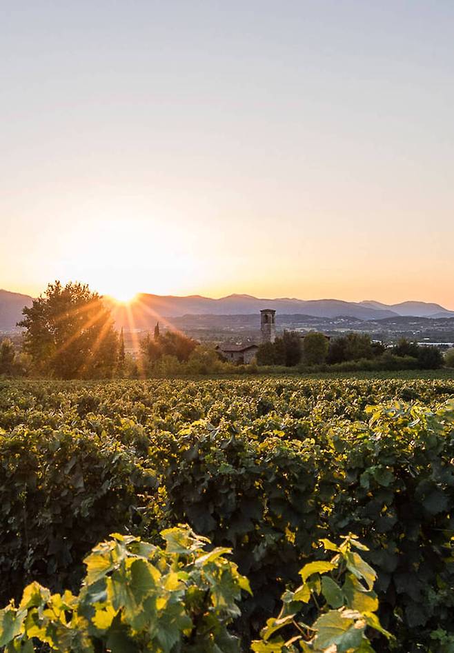 프란치아코르타 풍경.