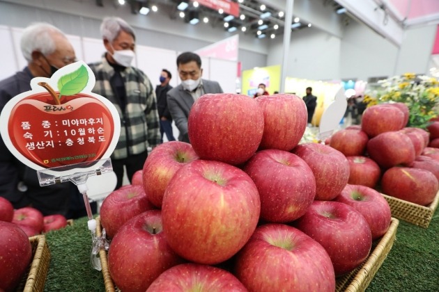 2일 대구 엑스코에서 열린 2022 대한민국 과일산업대전에 전시된 국산 사과. 농림축산식품부 제공