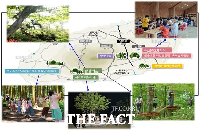 서귀포시는 내년부터 어린이 숲 체험 프로그램인 '상상의 숲'을 운영할 계획이다.