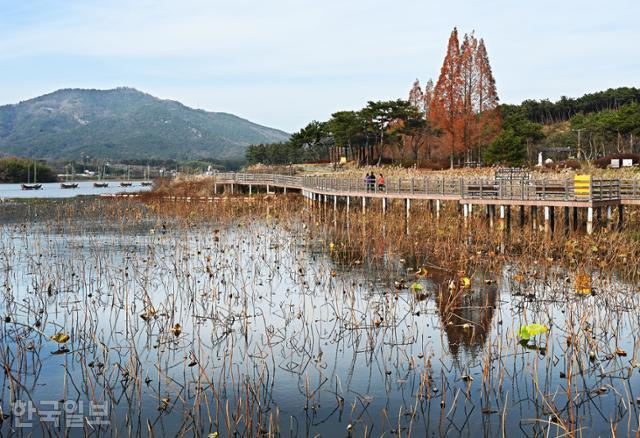 익산 금마저수지에 서동공원이 있다. 저수지 주변으로 산책로가 조성돼 있다.