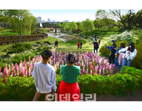 2022 대전관광사진 전국공모전에서 금상을 수상한 임성진씨의 ‘한밭수목원의 봄’. (사진=대전시 제공)