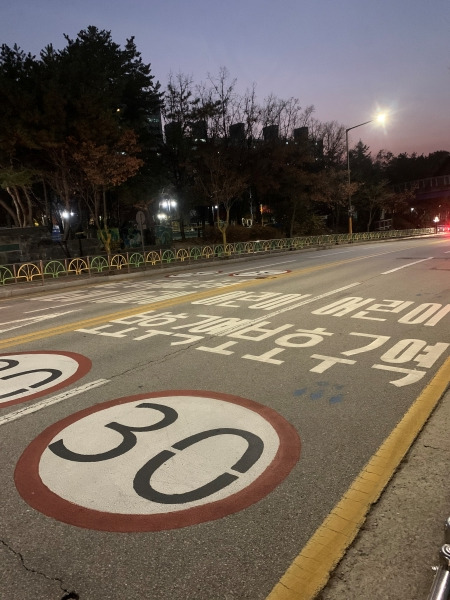 초등학교 앞 4차선 도로. 어린이보호구역임을 알리는 문구와 시속 30km 제한속도 표지판이 적혀있다.
