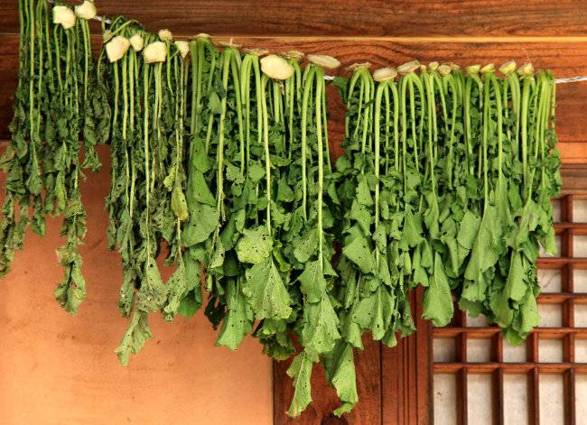 시래기는 무청을 데쳐 바람에 말린 것이다. 다양한 음식에 쓰인다. [Gettyimage]