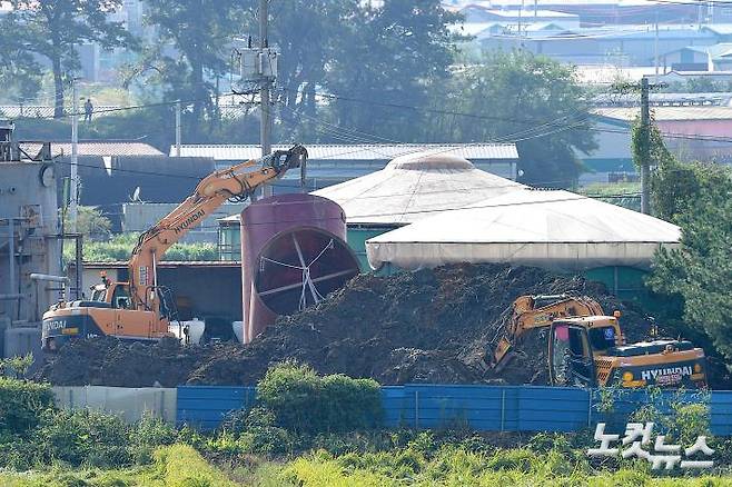 아프리카돼지열병 돼지 살처분 (사진=CBS노컷뉴스)