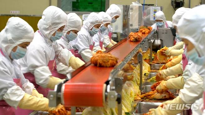 [무안=뉴시스] 전남의 한 식품공장에서 맛깔스런 국산김치가 생산되고 있다. (사진=전남도 제공) 2022.12.11. photo@newsis.com