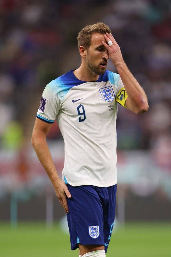 'shannonlada' 트위터