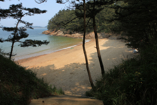 고대도 당산해수욕장사진=보령시 제공