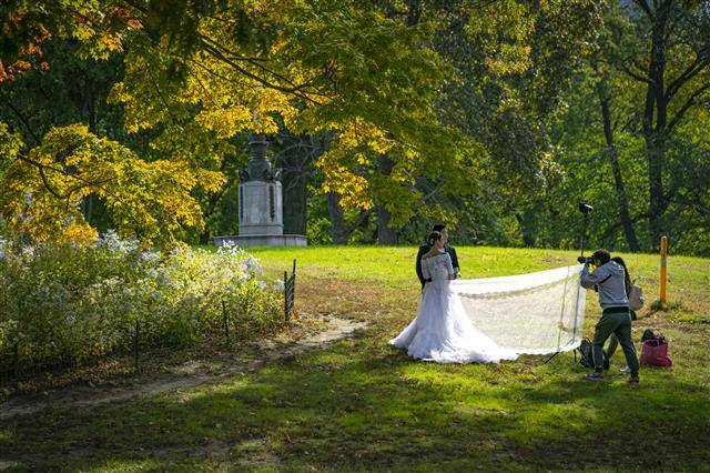 미국 뉴욕 센트럴파크는 자본주의도, 치솟는 물가도, 삶의 피로도 벗어 버릴 수 있는 도심 속 힐링 공간이다. 수풀이 우거진 센트럴파크에서 웨딩 촬영을 하는 커플. 이승원 작가 제공
