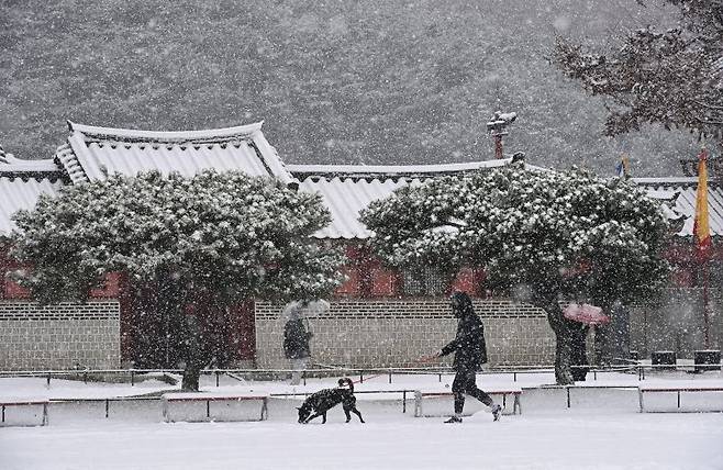 [수원=뉴시스] 김종택 기자 = 절기상 대설(大雪)을 하루 앞둔 지난 6일 경기도 수원시 팔달구 화성행궁에서 시민들이 함박눈을 맞으며 걸어가고 있다. 2022.12.06. jtk@newsis.com /사진=뉴시스
