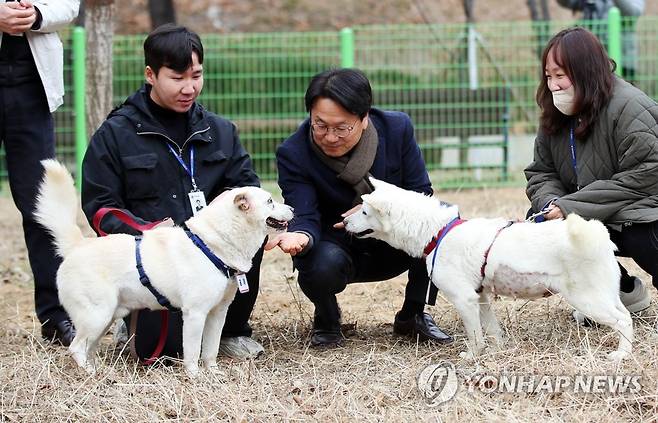 곰이·송강 맞이한 강기정 광주시장 (광주=연합뉴스) 천정인 기자 = 12일 오전 광주 북구 오치동물원에서 강기정 광주시장이 풍산개 곰이와 송강을 만나고 있다. 광주시는 지난 9일 문재인 전 대통령이 기르다 대통령기록관에 반납한 곰이와 송강을 대여 형식으로 넘겨받아 사육을 시작했다. 동물원 측의 실수로 이름표가 바뀐 상태다.  2022.12.12 iny@yna.co.kr