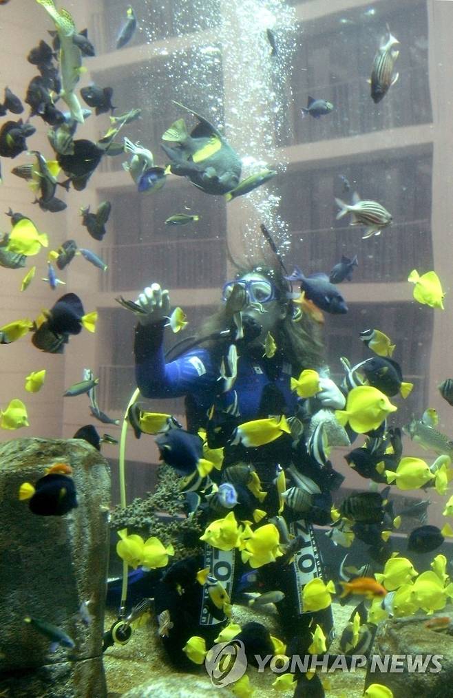 터져버린 베를린의 수족관 [로이터 연합뉴스 자료사진. 재판매 및 DB 금지]