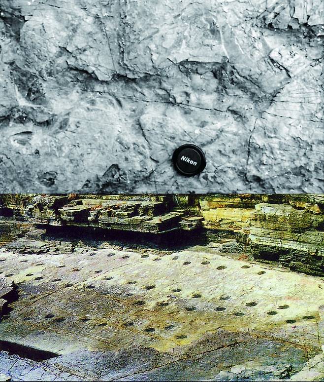 전남에서 발견된 아시아 최초의 익룡 발자국(상)과 동아시아에서 가장 긴 보행렬 화석 (하). 문화재청