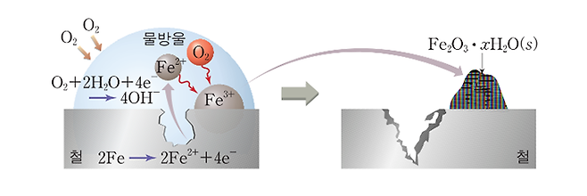 철의 산화 반응식. 출처=study.zum.com/book/14627