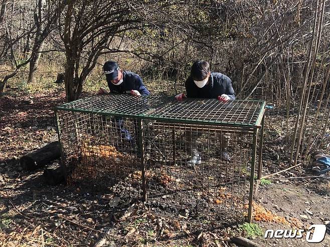 야생동물 밀렵 단속 자료사진. ⓒ News1