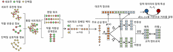 환자맞춤형 항암제 효능 예측 모델인 RAMP의 개념도.