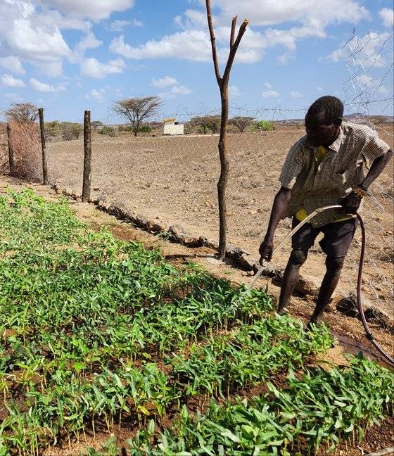 지난 7일(현지시간) 케냐 투르카나주의 칼로피리아 마을 주민들이 한국 정부와 유니세프가 협업해 개발한 지하수 관정에서 퍼올린 물로 텃밭에 물을 주고 있다. 인근에 위치한 초등학교는 태양광으로 전기를 이용하고 있다. [외교부 공동취재단(케냐 투르카나주)]