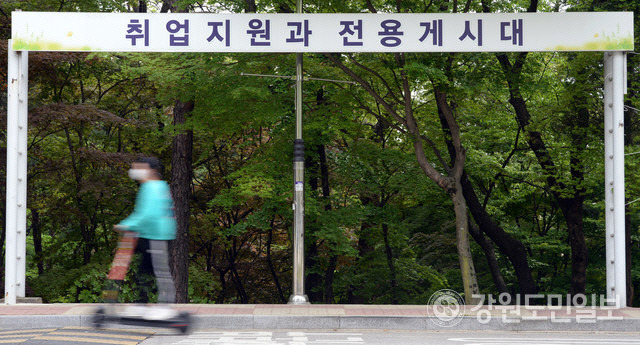 ▲ 한 대학교 취업전용게시판이 텅 비어있는 모습. 강원도민일보 자료사진