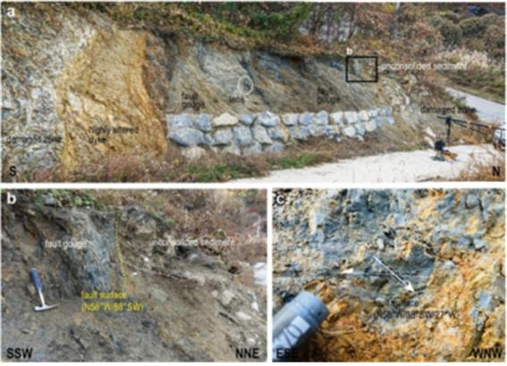 조곡단층대 내부구조와 미고결 퇴적층 변위 노두 전경 [사진=지질자원연구원]