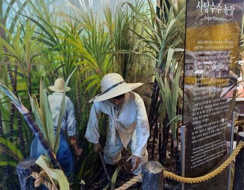 한국이민사박물관에 있는 사탕수수농장 노동자 모형 [촬영 홍현기]