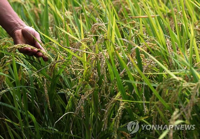 강원 농촌 [연합뉴스 자료사진]