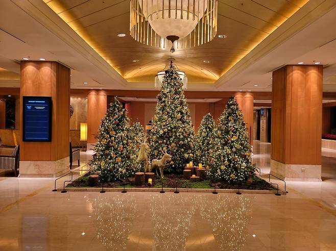 롯데호텔 서울 포토존. [롯데호텔 제공]