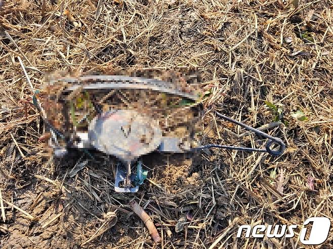 부산 강서구 대저생태공원에 설치돼 있던 야생동물 포획 덫.(부산경찰청 제공)