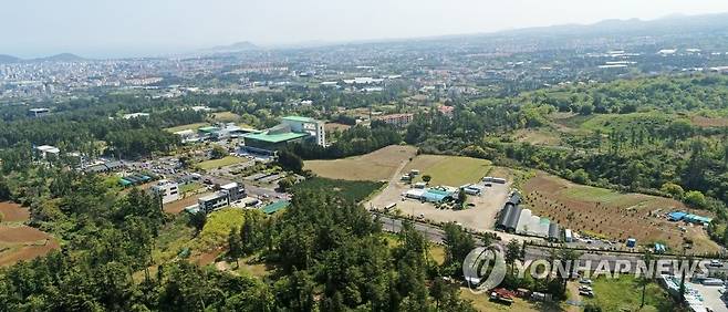 제주 오등봉공원 개발 예정지 [연합뉴스 자료 사진]