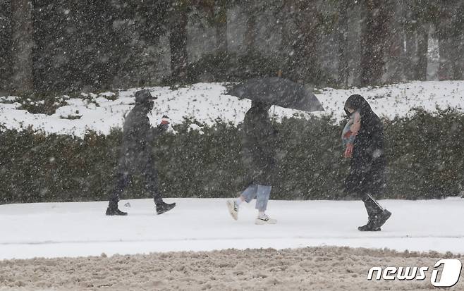 제주지역에 이틀째 대설특보가 발효 중인 23일 오전 제주시 제주대학교 교정에 눈보라가 치고 있다. 2022.12.23/뉴스1 ⓒ News1 오현지 기자