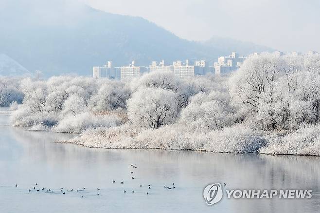 춘천 겨울 풍경 (춘천=연합뉴스) 양지웅 기자 = 전국 곳곳에 강추위가 이어지는 25일 강원 춘천시 소양강에 물안개와 상고대가 피고 있다. 2022.12.25 yangdoo@yna.co.kr