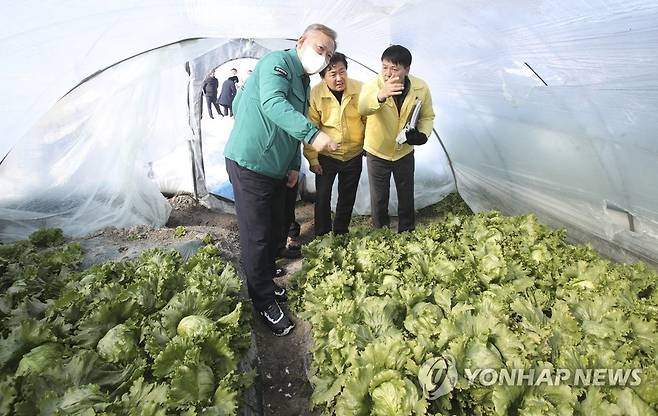 폭설 피해 확인하는 이상민 행안부장관 (김제=연합뉴스) 이상민 행정안전부 장관이 24일 폭설 피해를 본 전북 김제시 광활면 한 시설하우스 농가를 찾아 현장을 둘러보고 있다. 2022.12.24 [전북도 제공. 재판매 및 DB금지] jaya@yna.co.kr