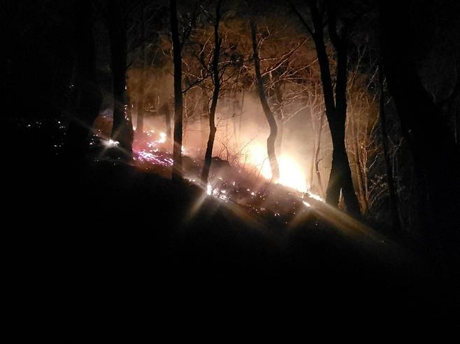 목조 주택에서 인근 야산으로 번진 불. 산림청 제공