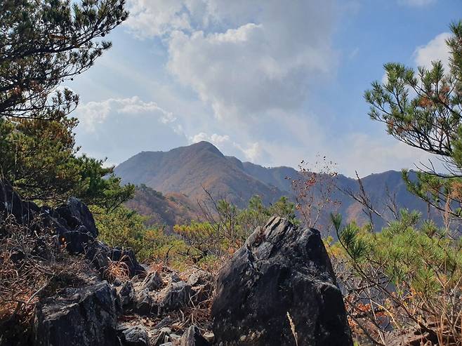 곰을 연상케 하는 웅석봉.