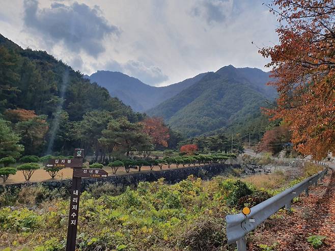 웅석봉 들머리 내리.