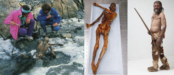 알프스 빙하지대인 외츠탈에서 반쯤 녹은 빙하에 엎어져 있던 미라가 발견됐다(왼쪽). 외츠탈에서 발견된 미라라 해서 ‘외치(가운데)’라는 이름이 붙었다. 외치는 키 160㎝, 몸무게 50㎏ 내외, 45세 O형 남성으로 추정됐다. 오른쪽은 외치 복원 모습 / 이탈리아 볼차노 사우스 티롤 고고학박물관 자료