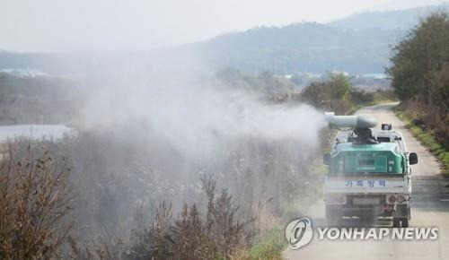 조류인플루엔자 예방 방역 [연합뉴스 자료사진]