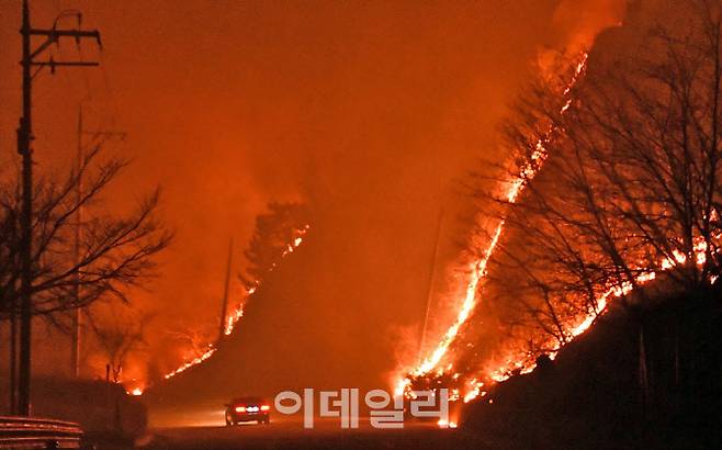 지난 3월 경북 울진에서 난 산불이 강풍을 타고 북쪽인 강원 삼척까지 번지는 가운데 삼척시 원덕읍 옛 7번 국도 주변 산림이 불에 타고 있다.(사진=연합뉴스)