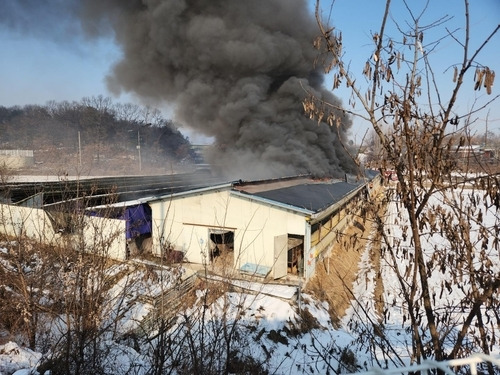 음성 개 사육장서 화재 [사진제공=충북소방본부]