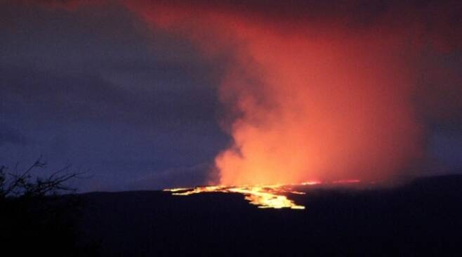 지난 11월28일(현지시간) 하와이 마우나 로아 화산 분화구에서 용암이 흘러 나오고 있다. AP뉴시스