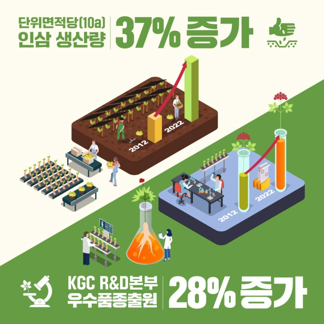 KGC인삼공사의 2022년도 계약재배  데이터 이미지. KGC인삼공사 제공