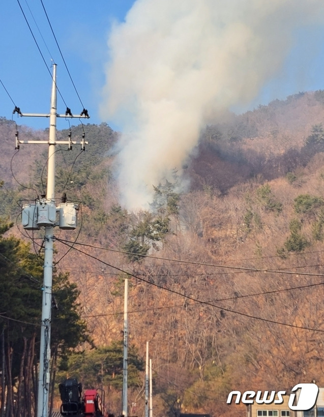 부산 강서구 봉화산 산불 모습.(부산소방재난본부 제공)