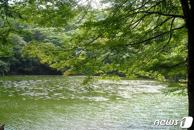 물찻오름 분화구(제주도 제공)