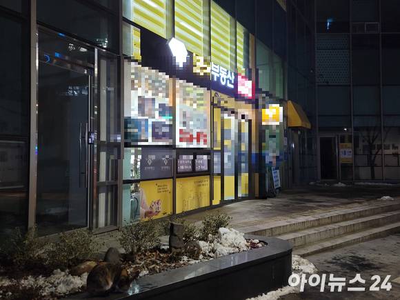 서울 서초구 일원 한 부동산 내부 조명이 늦은 시간까지 켜져 있다. [사진=김서온 기자]